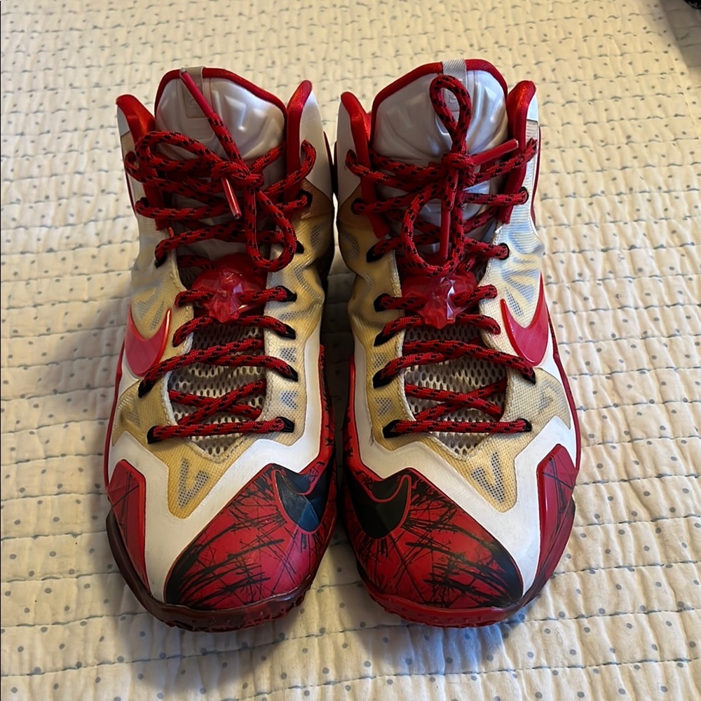 Nikeid Lebron James size 9